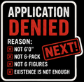 Application Denied Vinyl Sticker — Humanity Under Review